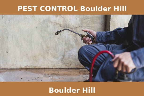 PEST CONTROL Boulder Hill